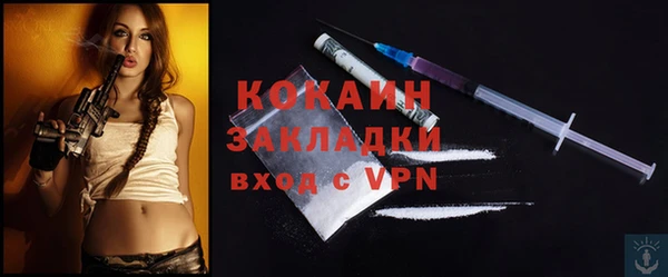 прущие грибы Абаза