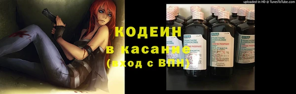 прущие грибы Абаза