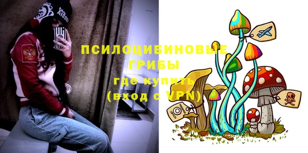 PSILOCYBIN Абинск