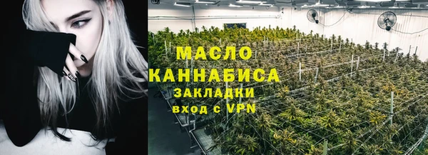 прущие грибы Абаза