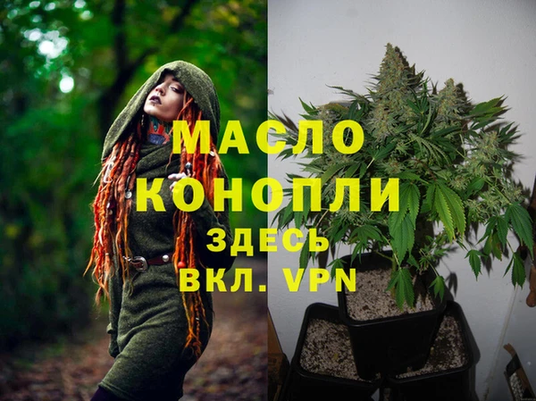 прущие грибы Ладушкин