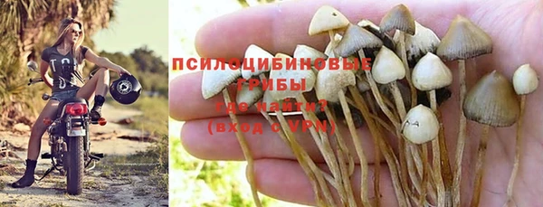 тгк Алексеевка