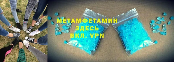 прущие грибы Абаза