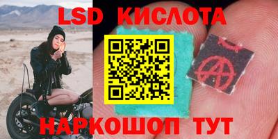 индика Ижевск