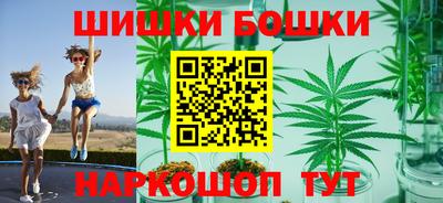 индика Ижевск