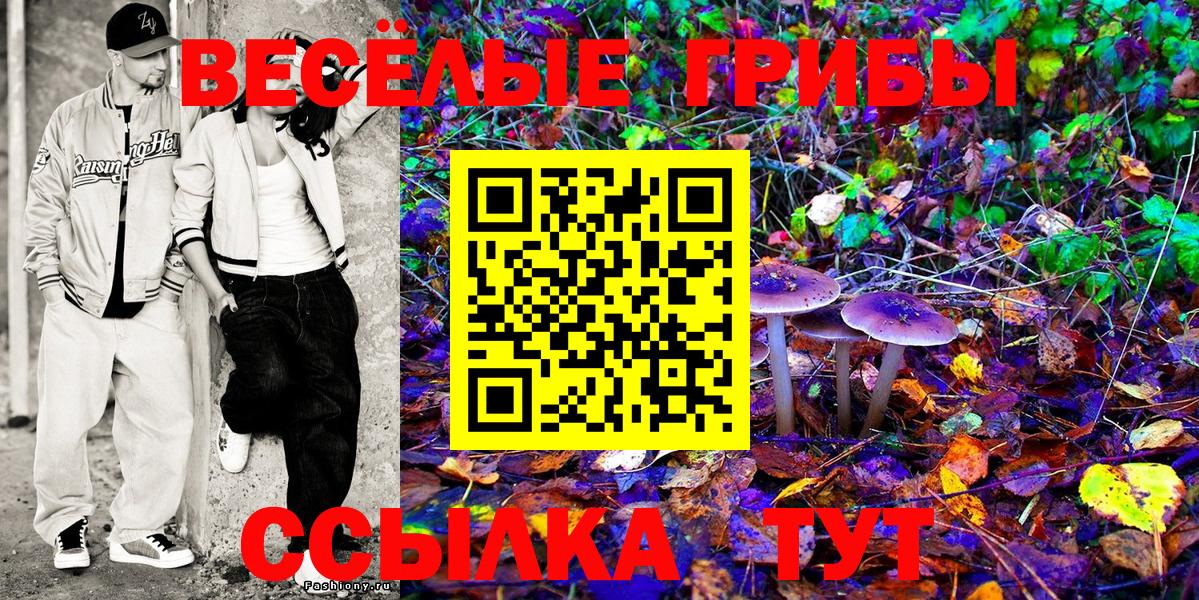 Галлюциногенные грибы мицелий Иркутск