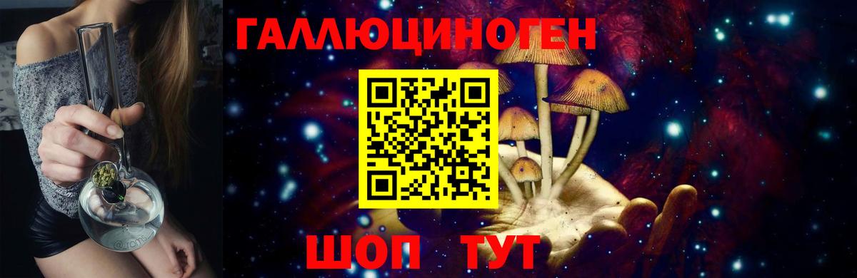 где купить наркоту  Галлюциногенные грибы GOLDEN TEACHER  Вход с VPN  Галлюциногенные грибы Psilocybine cubensis  Иркутск 